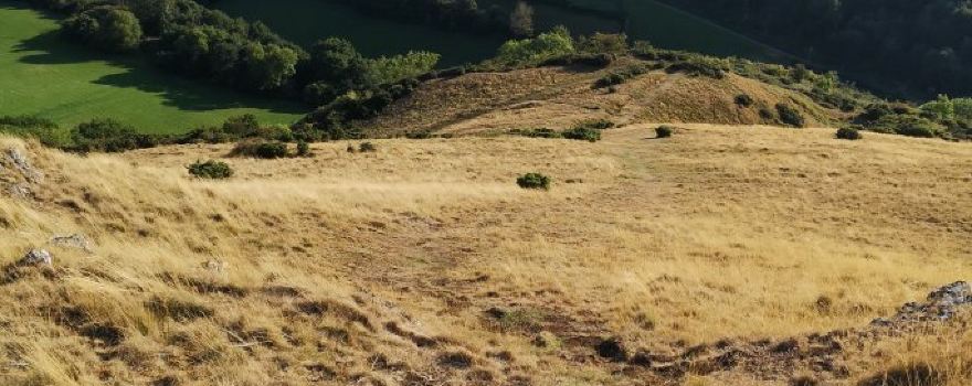 Roundton Hill National Nature Reserve