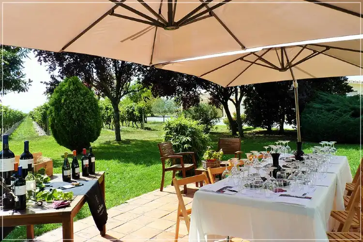 Hotels in Banos de Rioja