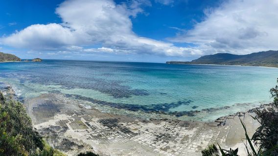 Tessellated Pavement