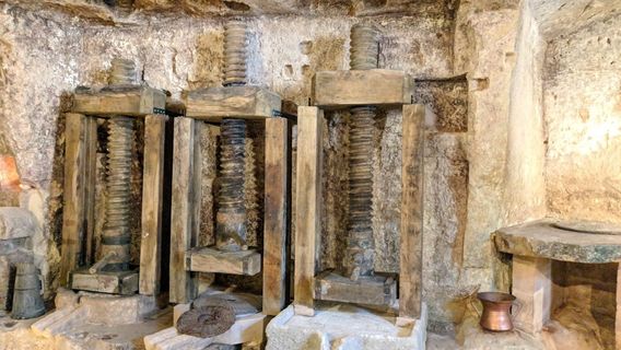 MOOM / Matera Olive Oil Museum