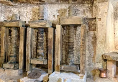 MOOM Matera Olive Oil Museum