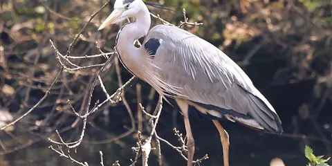 Kings Mill Reservoir