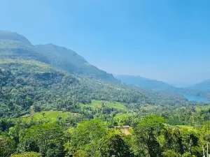 Drivers in Sri Lanka