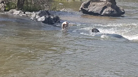Uriarra East Recreation Area