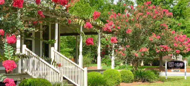 ティフトンのホテル