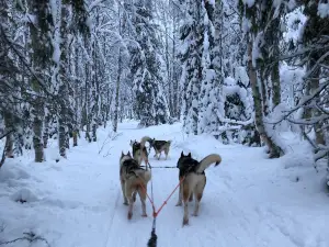 Syötteen Eräpalvelut