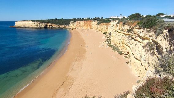 Praia Nova