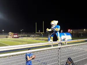 Tiger Stadium