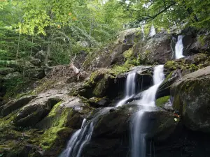 Dark Hollow Falls, Shenandoah National Park