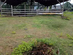 Cagar Budaya Candi Negeri Baru
