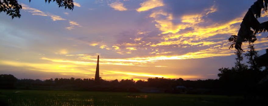 B.M.P. Field