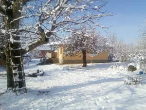 Toplicka Velika Plana