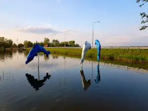 Pniowiec Beach