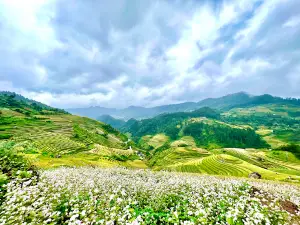 Rice Tray Viewpoint Mâm Xôi