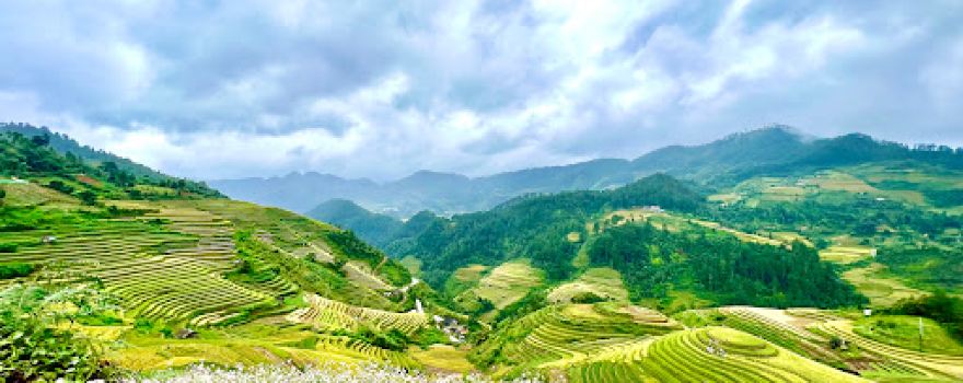 Rice Tray Viewpoint Mâm Xôi