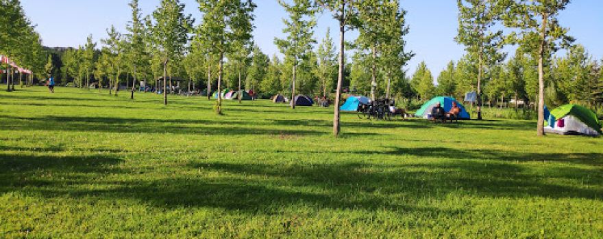 Kuğulu Tabiat Parkı