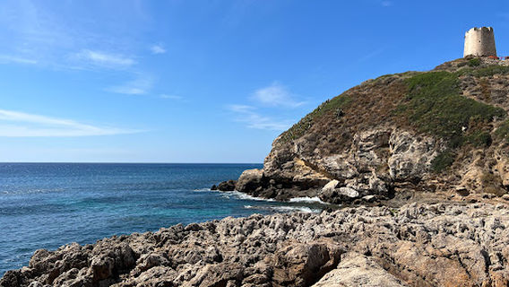 Affioramento Ediacariano