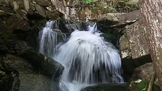 Fragas do Eume - Sendero A CAPELA