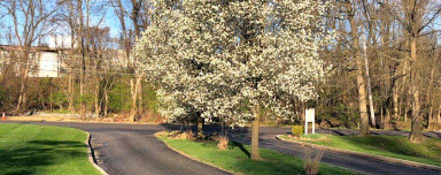 Coopersmith Park