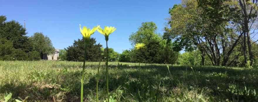 Kaw Wildlife Area