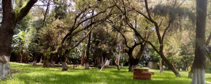 Comunal La Toma Park