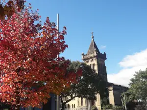 Plaza Flores
