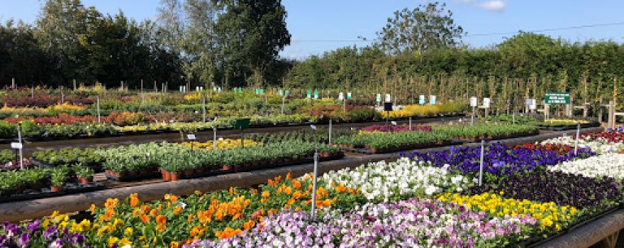 Tandee Nursery