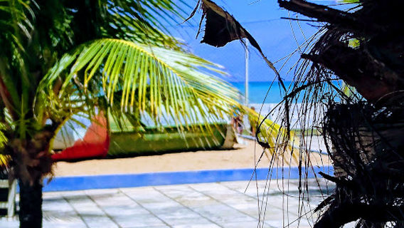 Associaçao Atlética Ceal