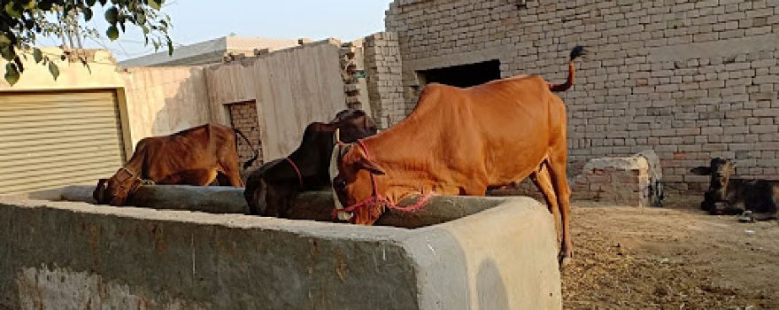 District Lodhran