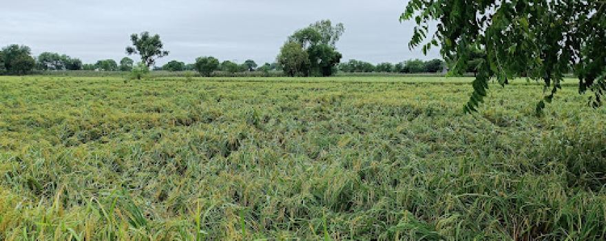 Jaat Tubewell