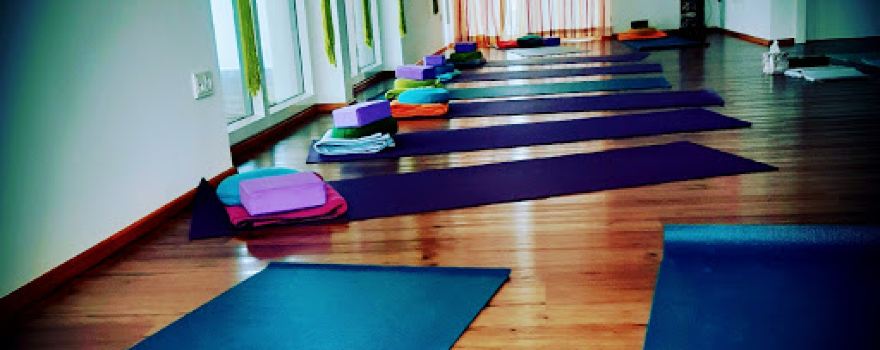 Healthysoul by Nicole Kastler