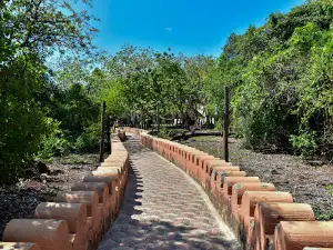 Tortoise Sanctuary