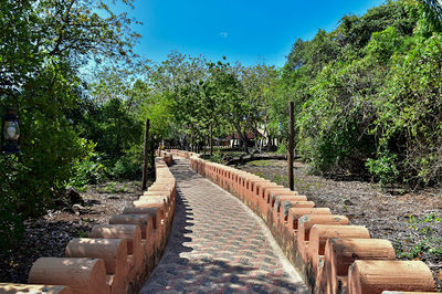Tortoise Sanctuary