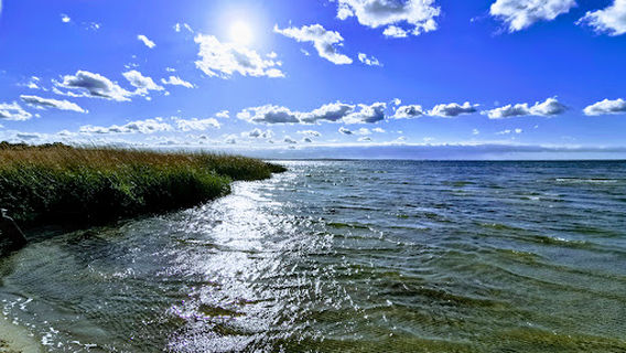 Camping "Bolter Ufer" C 15