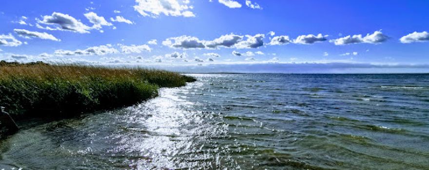 Camping "Bolter Ufer" C 15