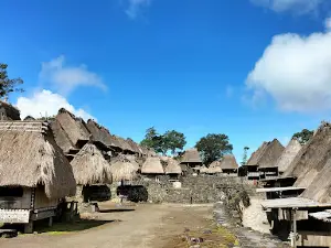 Bena Traditional Village (Thatched Roof Village)