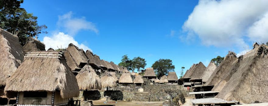 Bena Traditional Village (Thatched Roof Village)