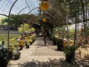 Taman Hammock Bukit Dhoho Indah Kediri