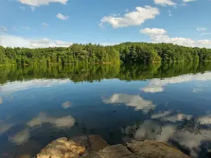 Elliott Branch