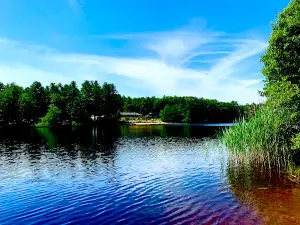 Wilderness Lake Campground & Resort