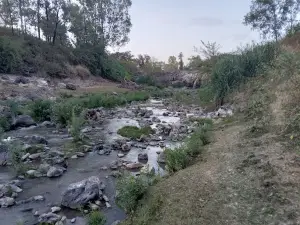 Mojo fall