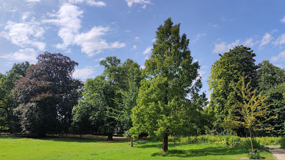 Charleroi