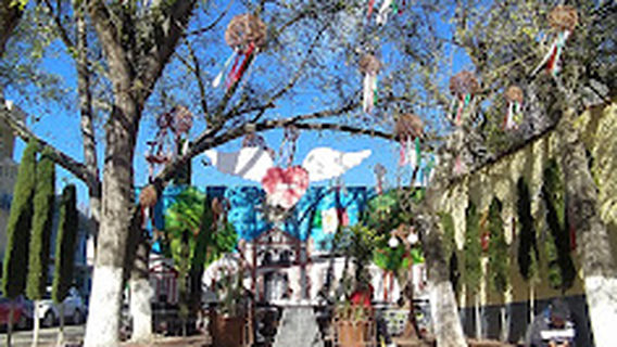 Pequeño Jardín
