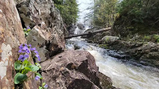 Fantom Falls
