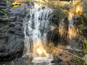 Dawsons Spring campground