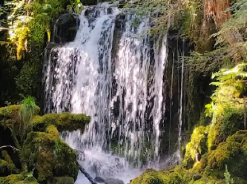 Avenue of the Boulders