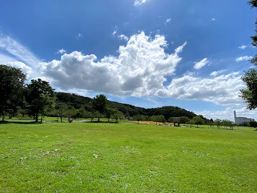 Kasenuma Park