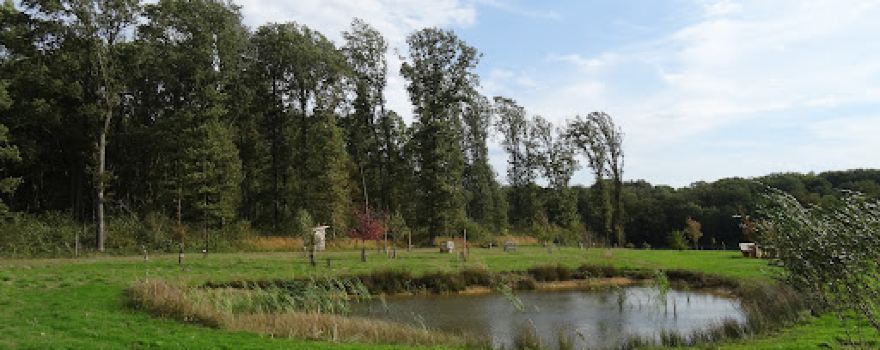 arboretum