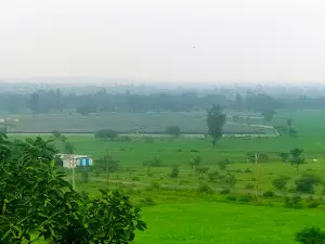 Shree Mankamneshwar Mahadev Mandir Bhole Dungri Alisariya