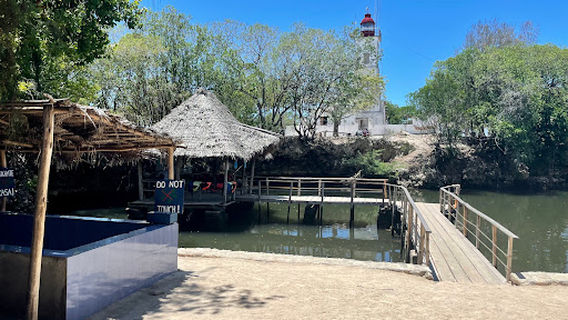 Swim with turtles sanctuary Zanzibar